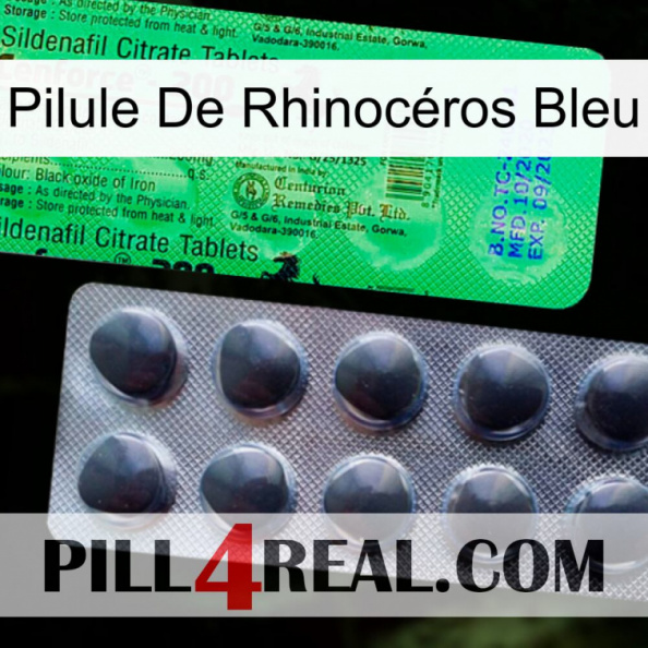 Pilule De Rhinocéros Bleu new04.jpg